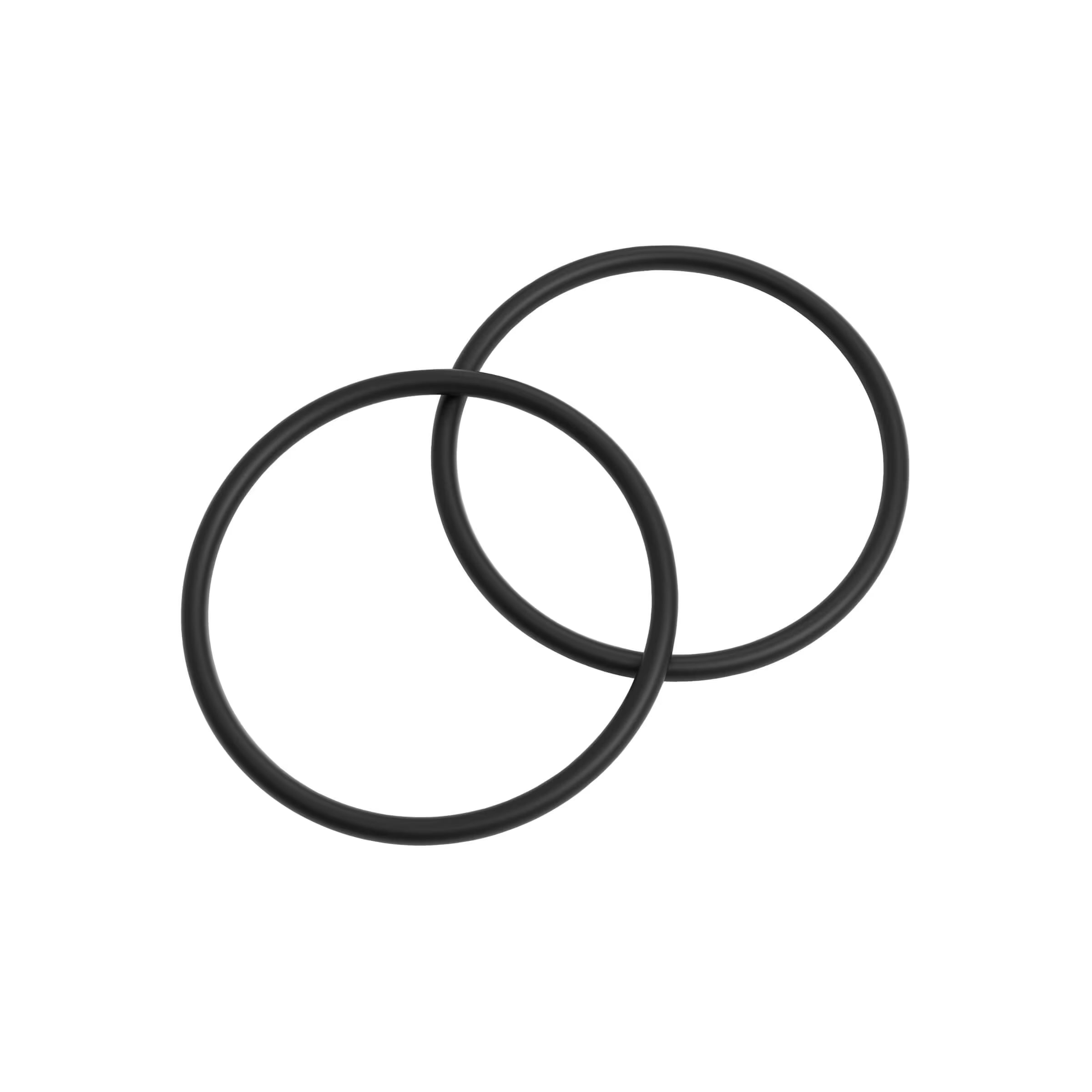 Teflon O-Ring for 1-inch PVDF G2 Series